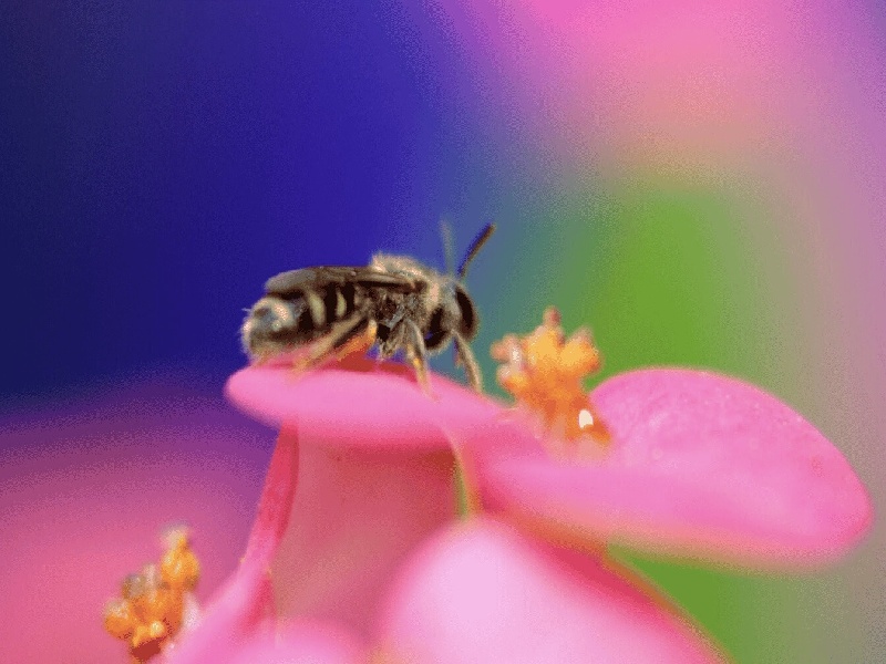 太原最靠谱的代生,代生咨询：在太原公立医院可